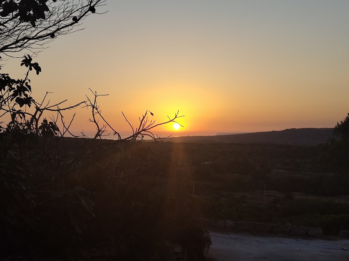 Bright yellow-orange sunset beyond branches and the surrounding landscape